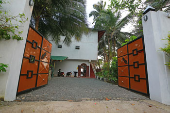 Wilde-Ananas-Sri-Lanka-Tor-Eingang-von der Straße