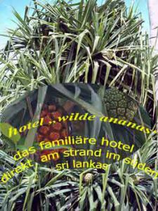 sri-lanka-logo-wilde ananas schraubenpalme