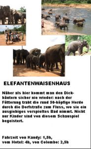Elefantenwaisenhaus Information
