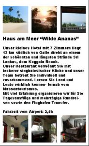 Kurzbeschreibung Hotel Wilde Ananas