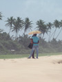 Junges Pärchen am Strand in Sri Lanka verschaemt hinter Schirm