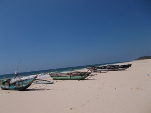 Koggala Beach, Habaraduwa, Wilde Ananas