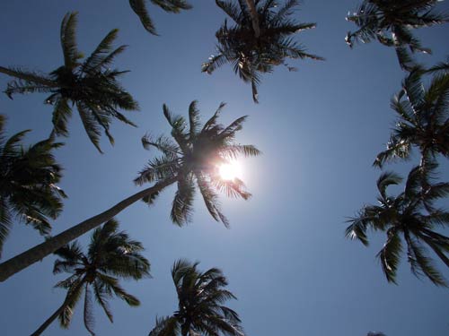 viel Licht, denn die Sonne steht in Sri Lanka im Zenit