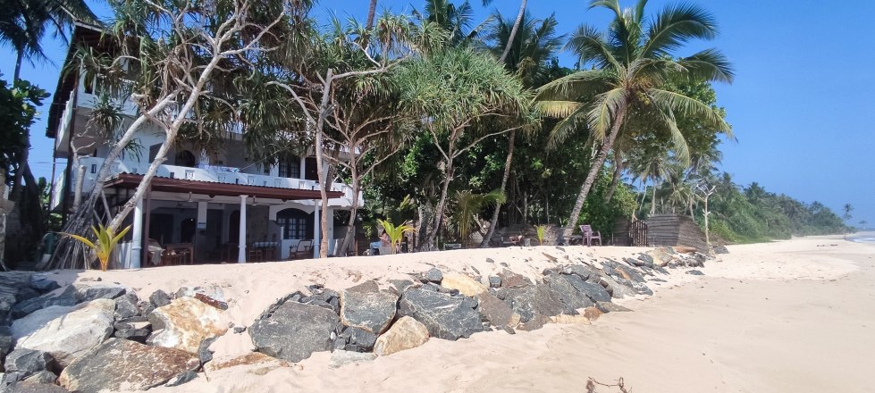 unbeschwert und sicher Urlaub in Sri Lanka machen Wilde_Ananas_Strandhotel