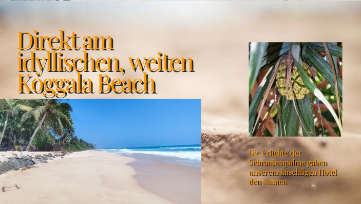Direkt_beach_Canva Direkt beach Canva 1